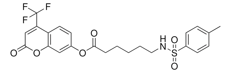 Merck 6-(TOLUENE-4-SULFONYLAMINO)-HE - 10 MG &