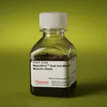 Thermo Fisher Scientific MagnaBind Goat Anti-Mouse IgG