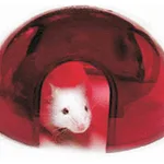 Thermo Fisher Scientific Mouse Igloo Rodent Enrichment Device, Certified