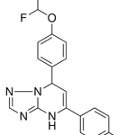 Merck 5-(4-CL-PH)-7-(4-DIFLUOROMETHO - 25 MG &