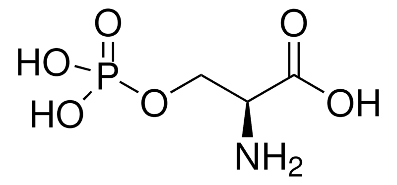 Merck O-Phospho-L-serine