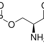 Merck O-Phospho-L-serine