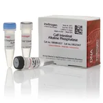 Thermo Fisher Scientific CIAP (Calf Intestinal Alkaline Phosphatase), 1 U/μL
