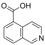Merck ISOQUINOLINE-5-CARBOXYLIC ACID, 95%