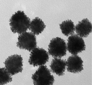 Merck Platinum nanospheres citrate functiona&