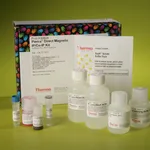 Thermo Fisher Scientific Pierce Direct Magnetic IP/Co-IP Kit