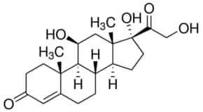 Merck HYDROCORTISONE