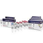 Thermo Fisher Scientific Phusion High-Fidelity DNA Polymerase & dNTP Mix (10 mM each)