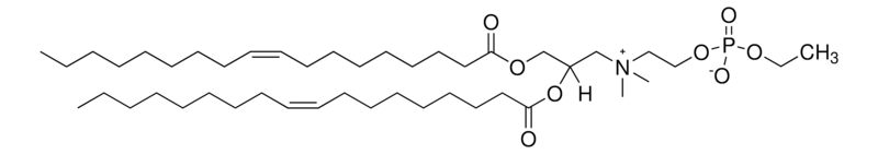 Merck DOCPe