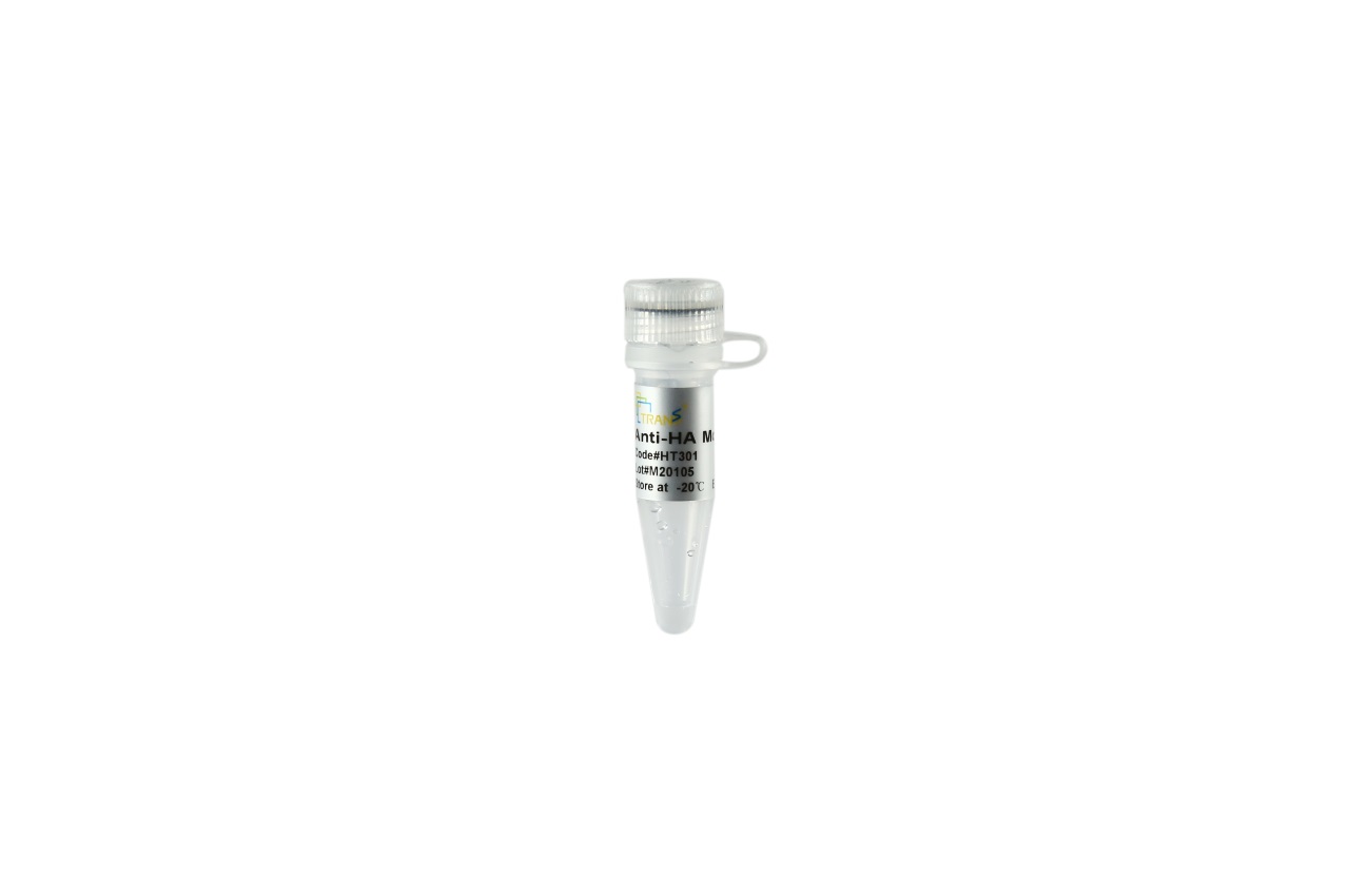 ProteinFind® Anti-HA Mouse Monoclonal Antibody