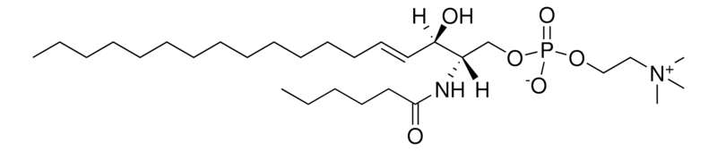 Merck 06:0 SM (d18:1/6:0)