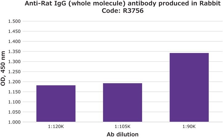 Merck Anti-Rat IgG (whole molecule) antibody produced in rabbit