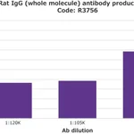 Merck Anti-Rat IgG (whole molecule) antibody produced in rabbit