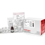 Thermo Fisher Scientific PARIS Kit