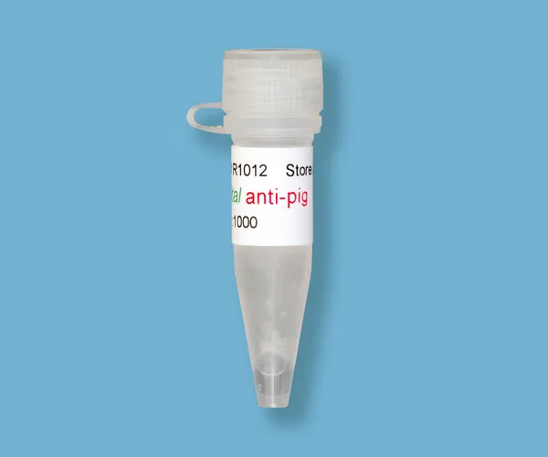 Kindle Biosciences DIGITAL ANTI-PIG IGG-HRP
