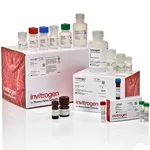 Thermo Fisher Scientific ViewRNA Cell Plus Assay Kit