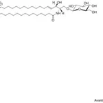 Merck C18 GLUCOSYL( BETA) CERAMIDE-D5