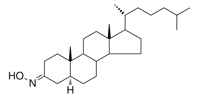 Merck 17-(1,5-DIMETHYL-HEXYL)-10,13-DI-