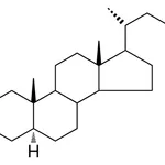 Merck 17-(1,5-DIMETHYL-HEXYL)-10,13-DI-