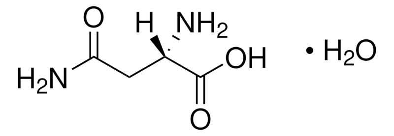 Merck Asparagine monohydrate