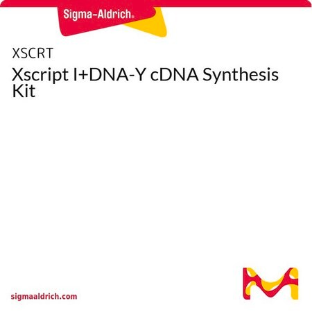 Merck Xscript I+DNA-Y cDNA Synthesis Kit