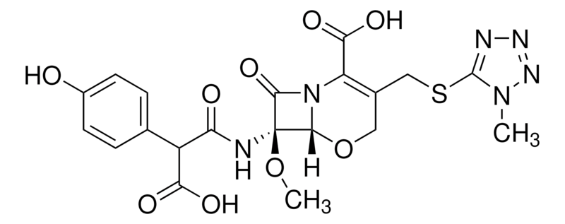 Merck Moxalactam Supplement