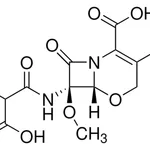 Merck Moxalactam Supplement