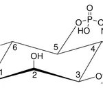 Merck IP4(1,3,4,5)