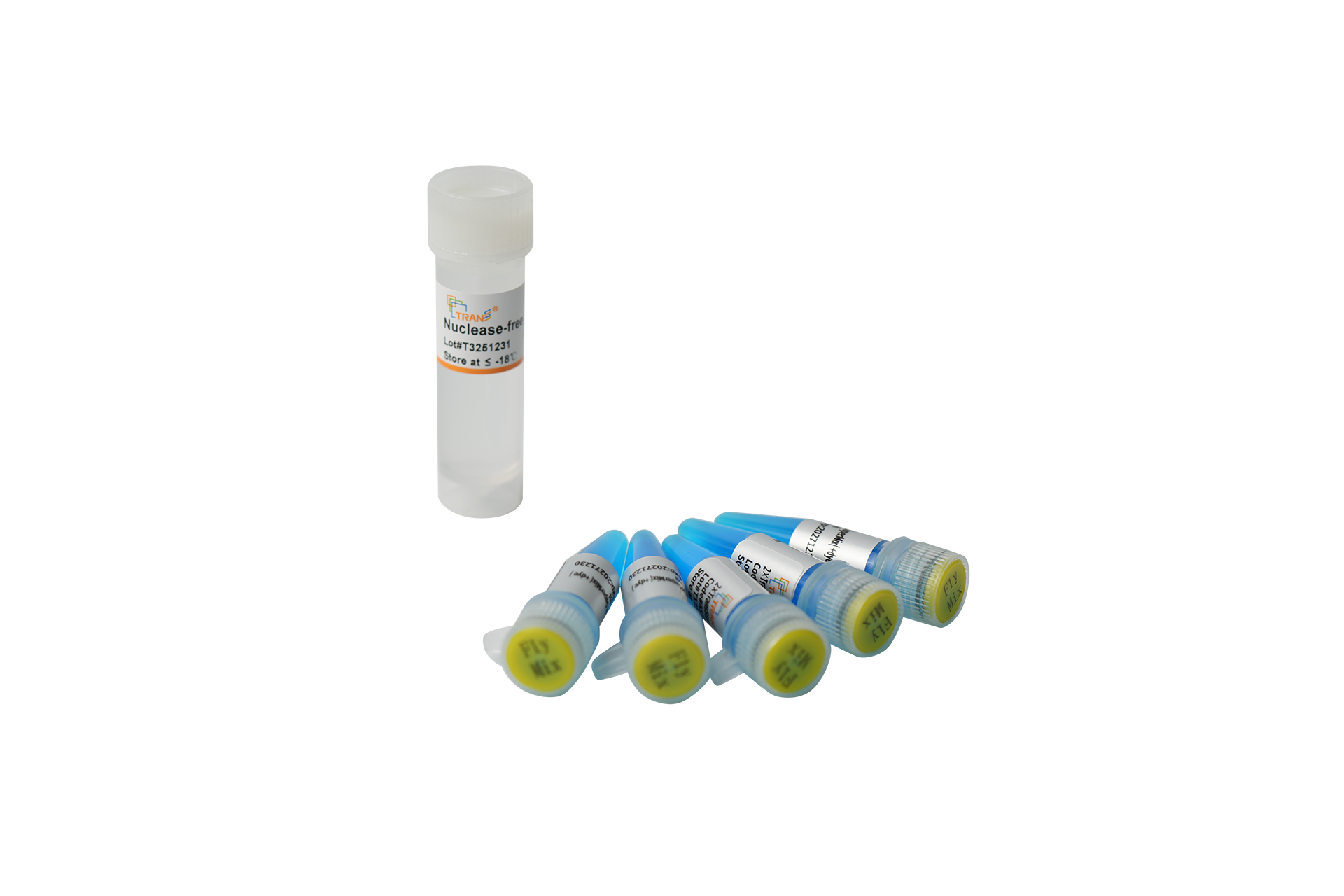 2×TransStart® FastPfu Fly PCR SuperMix (-dye) (AS231-01)