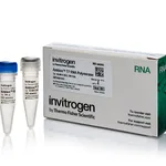 Thermo Fisher Scientific Ambion T7 RNA Polymerase, cloned, 200 U/μL