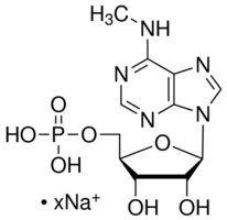 Merck N6-METHYLADENOSINE 5-MONOPHOSPHATE&