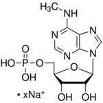 Merck N6-METHYLADENOSINE 5-MONOPHOSPHATE&