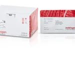 Thermo Fisher Scientific iBlot 3 Transfer Stacks, midi, nitrocellulose, 10 Stacks