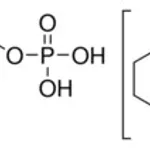 Merck SN-GLYCEROL 3-PHOSPHATE BIS(CYCLOHEXYLA&