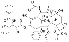 Merck PACLITAXEL