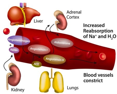Merck ANGIOTENSIN II HUMAN