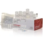 Thermo Fisher Scientific ChargeSwitch-Pro Plasmid Miniprep Kit, 10 Preps