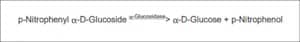 Merck A-GLUCOSIDASE TYPE I FROM BAKERS YEAST