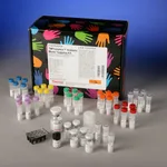 Thermo Fisher Scientific TMTsixplex Isobaric Mass Tagging Kit, 35 Reactions