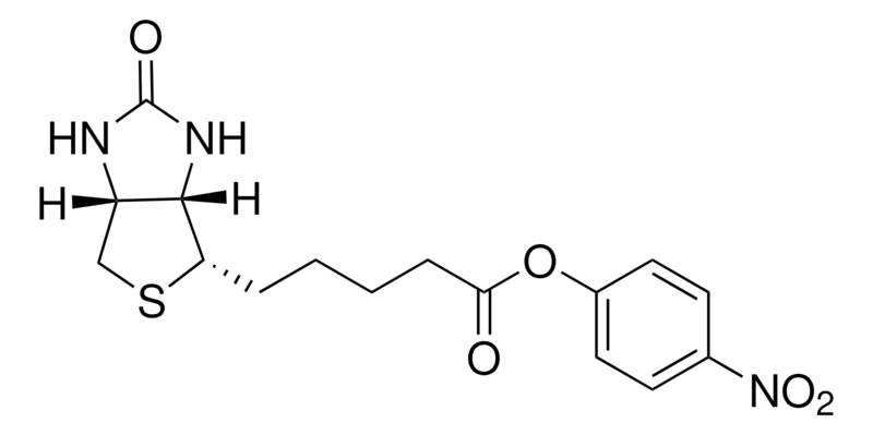 Merck (+)-Biotin 4-nitrophenyl ester