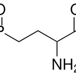Merck (+/-)-2-Amino-4-phosphonobutyric acid