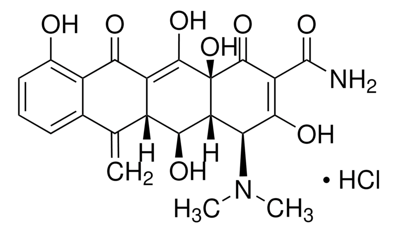 Merck Methacycline hydrochloride