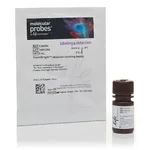 Thermo Fisher Scientific CountBright Absolute Counting Beads, for flow cytometry