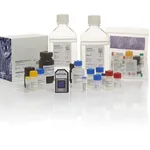Thermo Fisher Scientific CytoScan XON Assay Training Kit