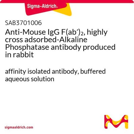 Merck Anti-Mouse IgG F(ab')2, highly cross adsorbed-Alkaline Phosphatase antibody produced in rabbit