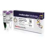 Thermo Fisher Scientific FastDigest SaqAI