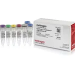 Thermo Fisher Scientific SuperScript IV CellsDirect cDNA Synthesis Kit, 50 reactions