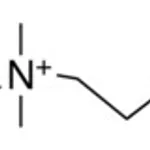 Merck 3-(BENZYLDIMETHYLAMMONIO)PROPANESULFONA&