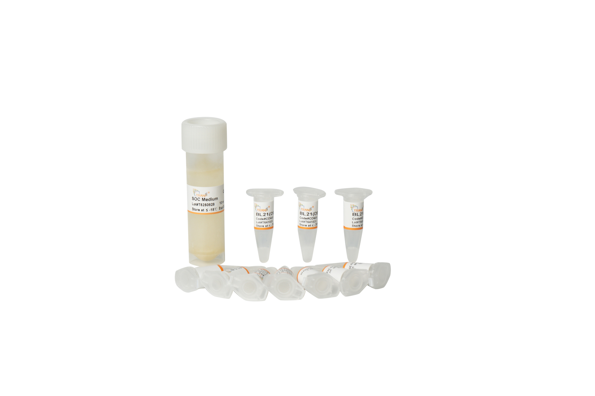 BL21(DE3) Chemically Competent Cell