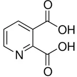 Merck 2,3-PYRIDINEDICARBOXYLIC ACID, 99%